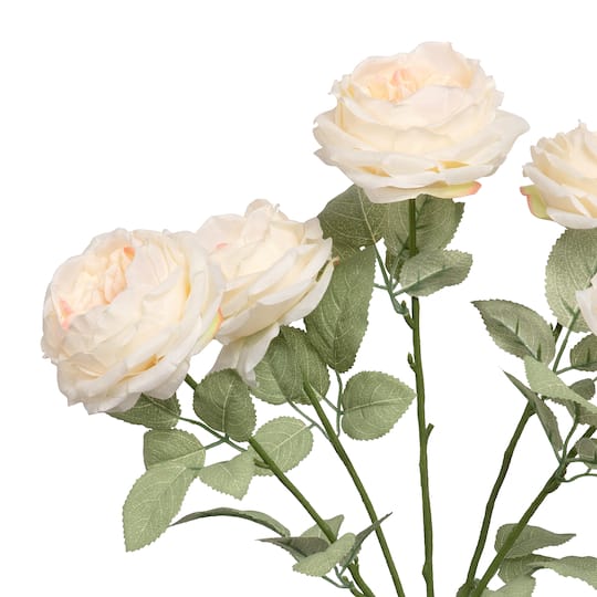 18.5" Cabbage Rose Deluxe Bush by Ashland®